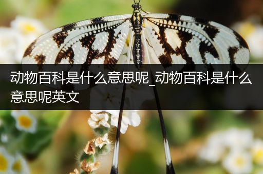 动物百科是什么意思呢_动物百科是什么意思呢英文