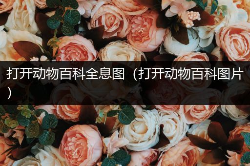 打开动物百科全息图（打开动物百科图片）