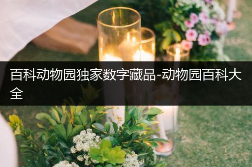 百科动物园独家数字藏品-动物园百科大全
