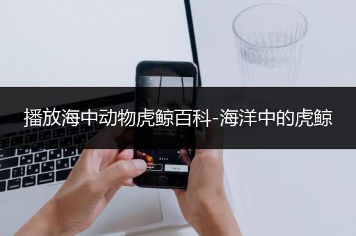 播放海中动物虎鲸百科-海洋中的虎鲸