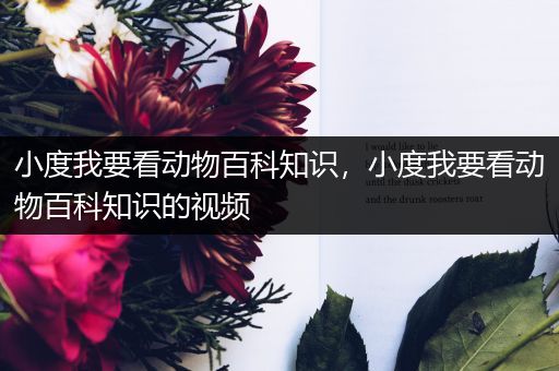 小度我要看动物百科知识，小度我要看动物百科知识的视频