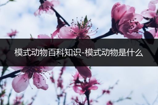 模式动物百科知识-模式动物是什么