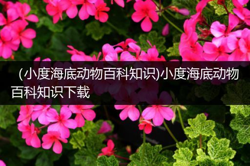（小度海底动物百科知识)小度海底动物百科知识下载