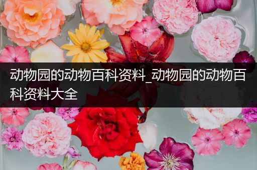 动物园的动物百科资料_动物园的动物百科资料大全