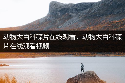 动物大百科碟片在线观看，动物大百科碟片在线观看视频