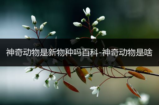 神奇动物是新物种吗百科-神奇动物是啥