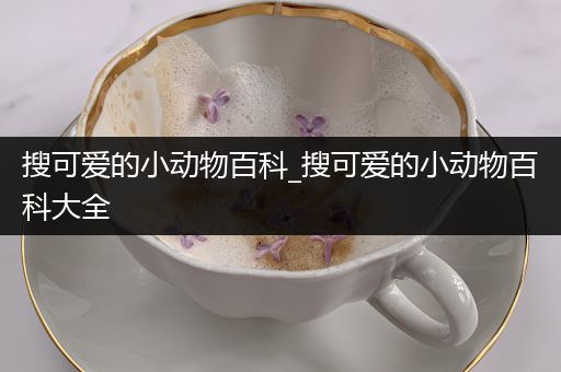 搜可爱的小动物百科_搜可爱的小动物百科大全