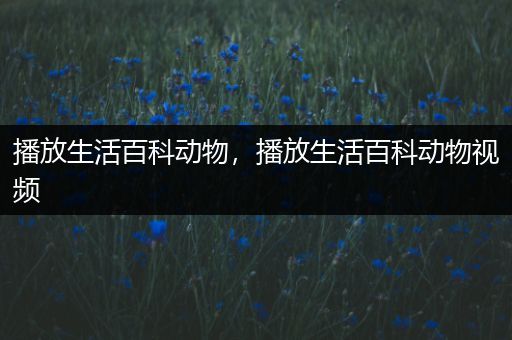 播放生活百科动物，播放生活百科动物视频