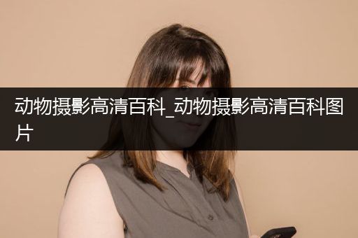 动物摄影高清百科_动物摄影高清百科图片