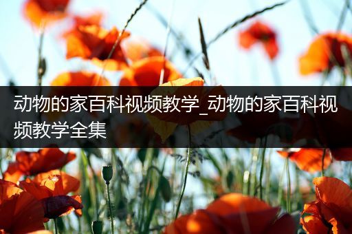 动物的家百科视频教学_动物的家百科视频教学全集