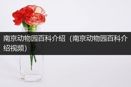 南京动物园百科介绍（南京动物园百科介绍视频）