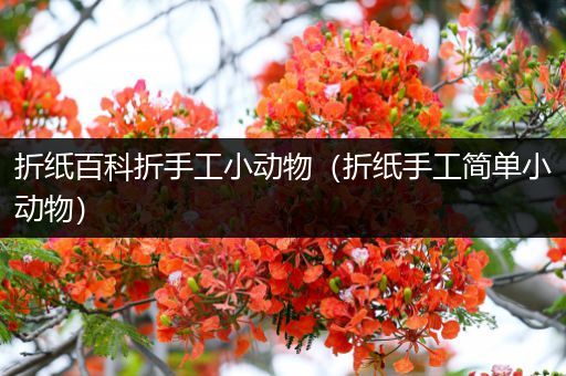 折纸百科折手工小动物（折纸手工简单小动物）