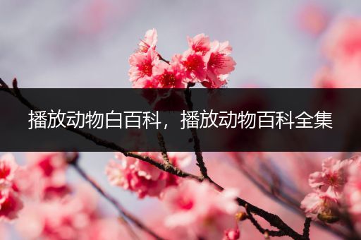 播放动物白百科，播放动物百科全集