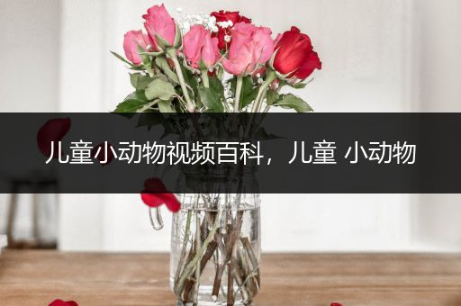 儿童小动物视频百科，儿童 小动物