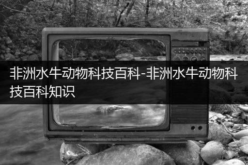 非洲水牛动物科技百科-非洲水牛动物科技百科知识
