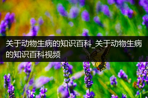 关于动物生病的知识百科_关于动物生病的知识百科视频