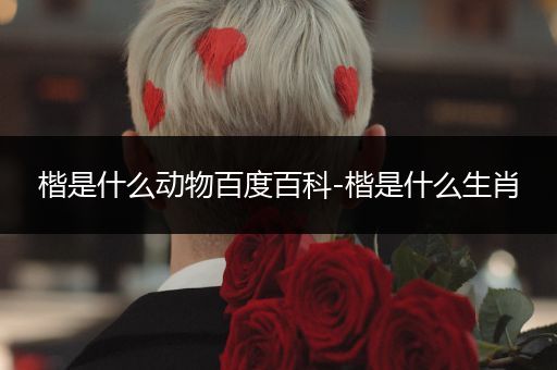 楷是什么动物百度百科-楷是什么生肖