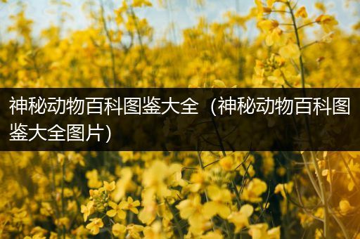 神秘动物百科图鉴大全（神秘动物百科图鉴大全图片）