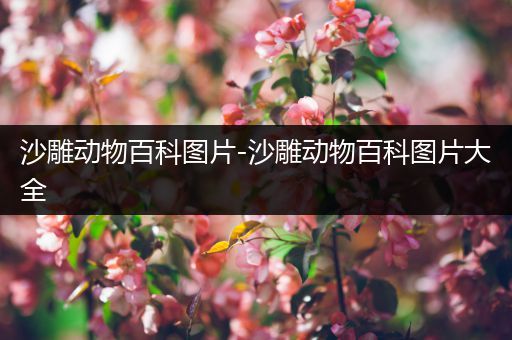 沙雕动物百科图片-沙雕动物百科图片大全