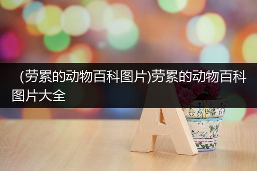（劳累的动物百科图片)劳累的动物百科图片大全
