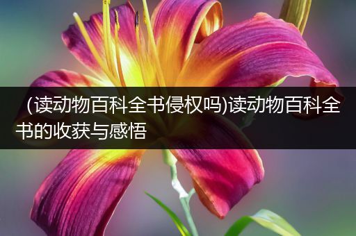 （读动物百科全书侵权吗)读动物百科全书的收获与感悟