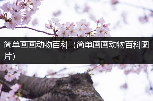 简单画画动物百科（简单画画动物百科图片）
