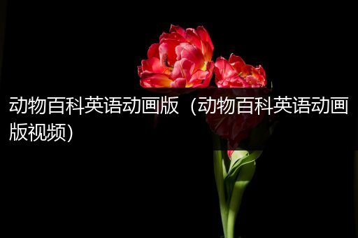 动物百科英语动画版（动物百科英语动画版视频）