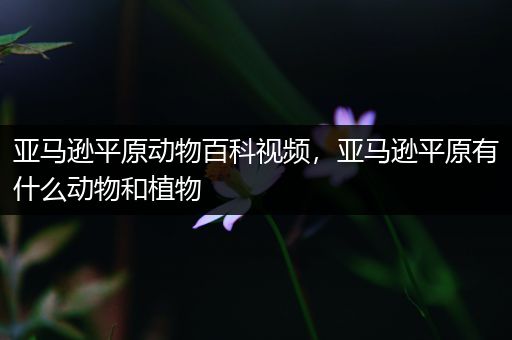 亚马逊平原动物百科视频，亚马逊平原有什么动物和植物