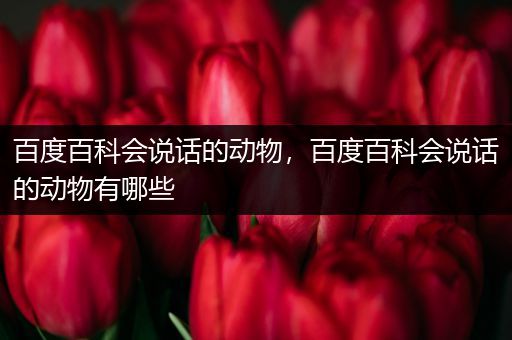 百度百科会说话的动物，百度百科会说话的动物有哪些