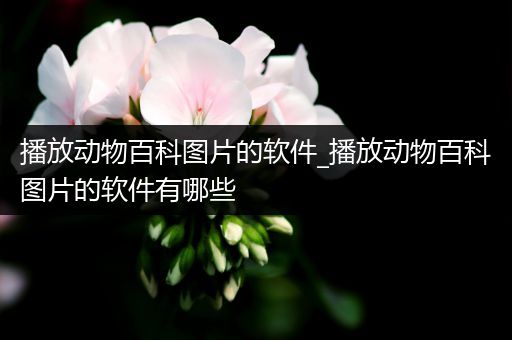 播放动物百科图片的软件_播放动物百科图片的软件有哪些