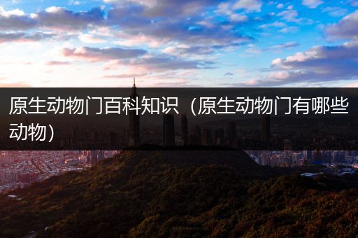 原生动物门百科知识（原生动物门有哪些动物）