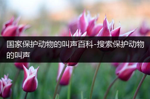 国家保护动物的叫声百科-搜索保护动物的叫声