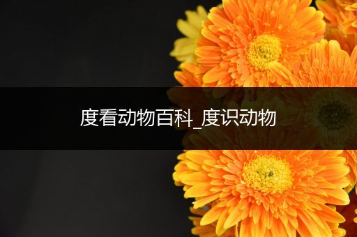 度看动物百科_度识动物