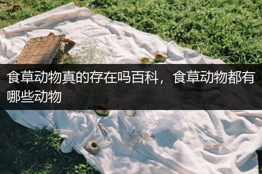 食草动物真的存在吗百科，食草动物都有哪些动物