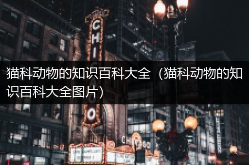 猫科动物的知识百科大全（猫科动物的知识百科大全图片）