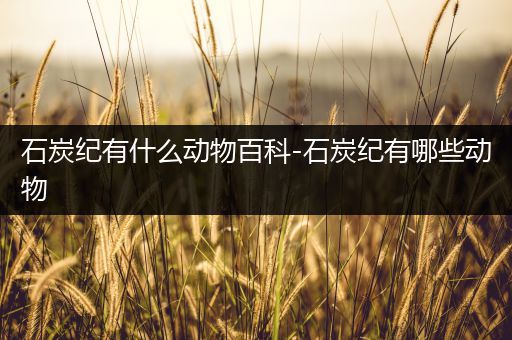 石炭纪有什么动物百科-石炭纪有哪些动物