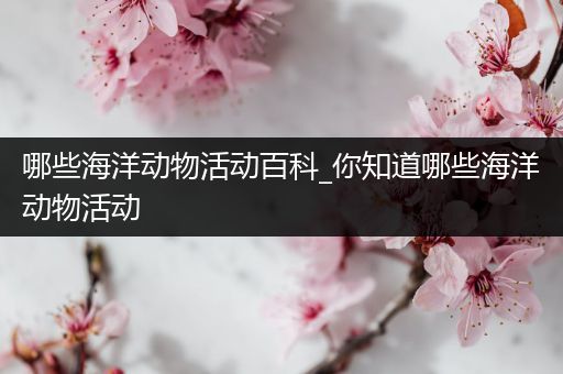 哪些海洋动物活动百科_你知道哪些海洋动物活动
