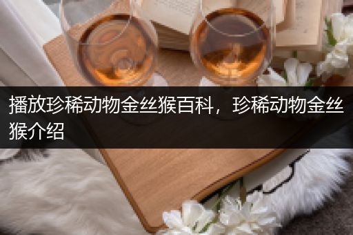 播放珍稀动物金丝猴百科，珍稀动物金丝猴介绍