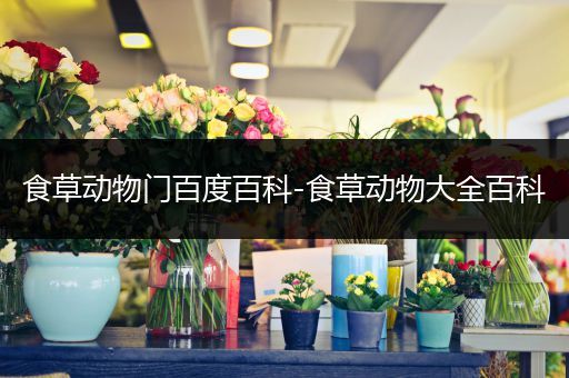食草动物门百度百科-食草动物大全百科