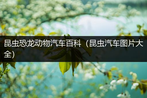 昆虫恐龙动物汽车百科（昆虫汽车图片大全）