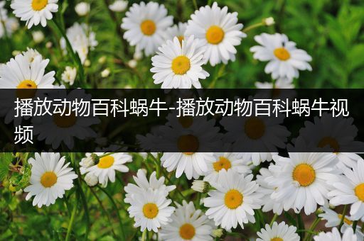 播放动物百科蜗牛-播放动物百科蜗牛视频