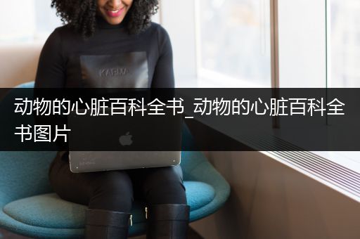 动物的心脏百科全书_动物的心脏百科全书图片